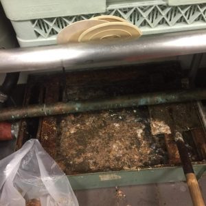 Grease Trap cleaning